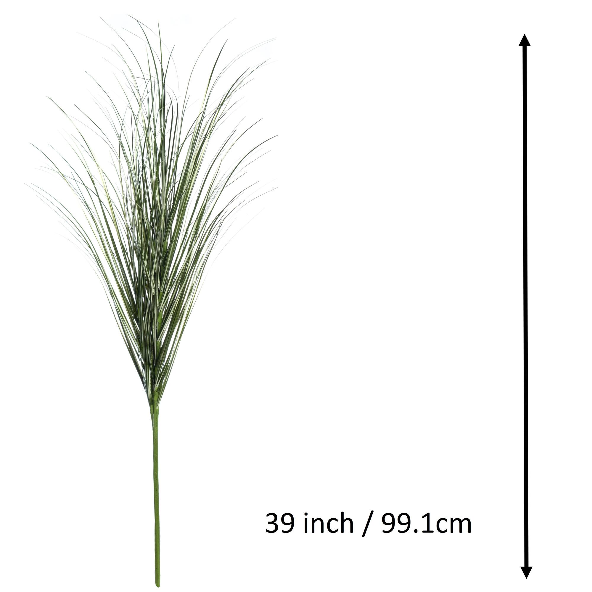 Tall Green Grass Stem by Ashland®